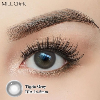 Giá tốt. Kính áp tròng dùng một lần hàng ngày màu Nâu Xám, thoải mái cao, đường kính 14.2mm trực tuyến