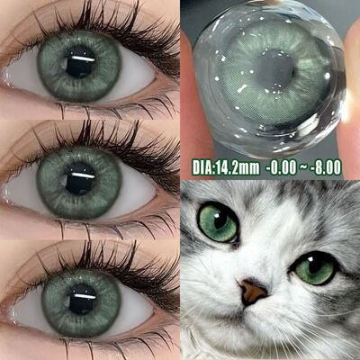 Good price Frozen Green 14.2mm Diameter Yearly Disposable Contact Lenses with 0.08mm Thickness online