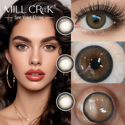Good price Frost Amber 14.5mm Yearly Disposable Contact Lenses with 40% Water Content and BC 8.6 for Big Eye Effect online